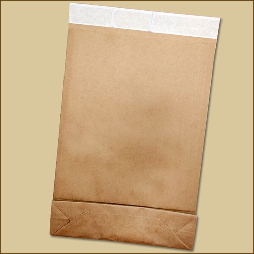 Versandbeutel kraftpapier 300 - versandbeutel,